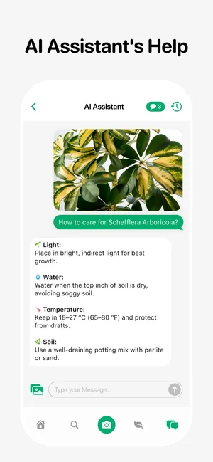 AI assistant answering a care question about a Monstera with light, water and soil advice