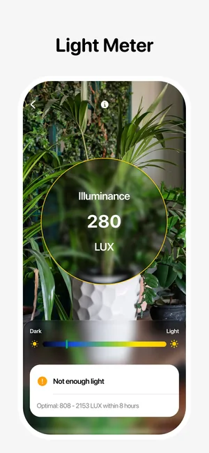 Light meter measuring 280 lux and warning that the spot is too dark for the plant