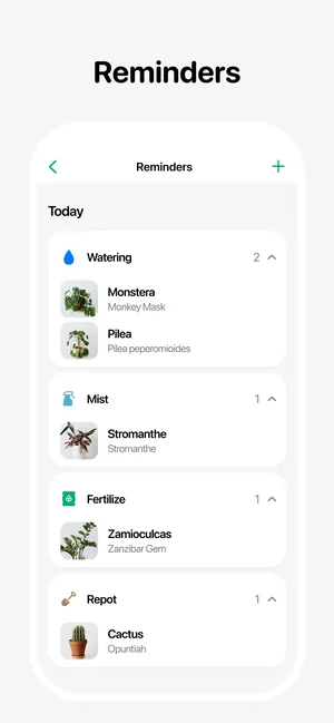 Care reminders listing watering and fertilising tasks for several house plants