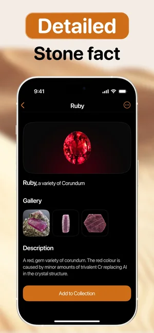 Rock Identifier app: detailed stone fact card for a ruby